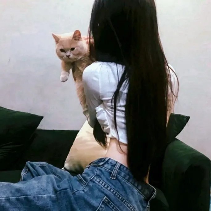 青春在线